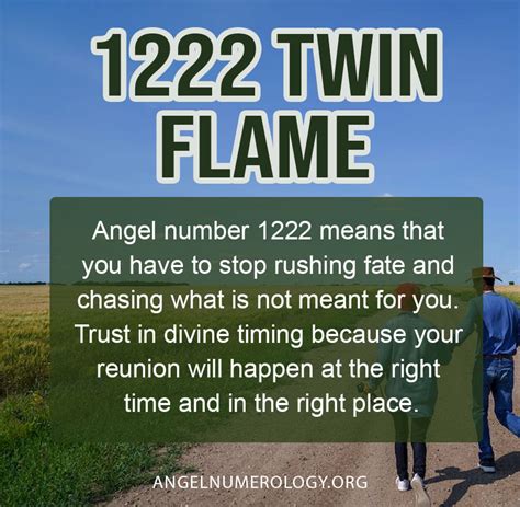 1222 angel number twin flame reunion|The real meaning of angel number 1222 for twin。